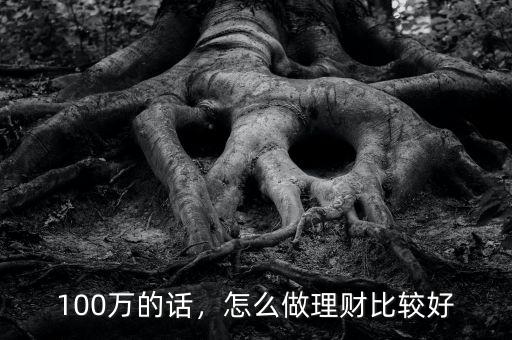 100萬的話，怎么做理財比較好