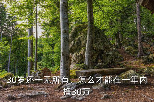 30歲還一無(wú)所有，怎么才能在一年內(nèi)掙30萬(wàn)