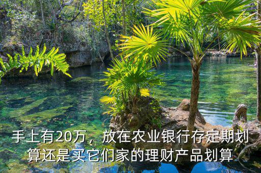 手上有20萬，放在農(nóng)業(yè)銀行存定期劃算還是買它們家的理財產(chǎn)品劃算