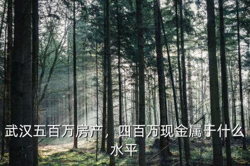 武漢五百萬房產(chǎn)，四百萬現(xiàn)金屬于什么水平