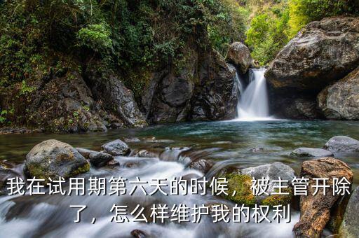 我在試用期第六天的時候，被主管開除了，怎么樣維護我的權(quán)利