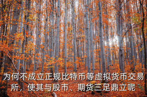 為何不成立正規(guī)比特幣等虛擬貨幣交易所，使其與股市、期貨三足鼎立呢