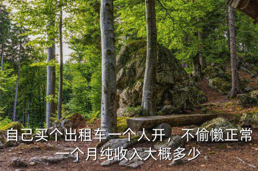 自己買個(gè)出租車一個(gè)人開，不偷懶正常一個(gè)月純收入大概多少