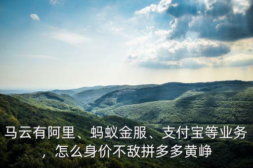 馬云有阿里、螞蟻金服、支付寶等業(yè)務(wù)，怎么身價(jià)不敵拼多多黃崢