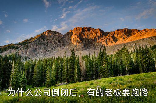 為什么公司倒閉后，有的老板要跑路