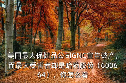 美國最大保健品公司GNC宣告破產(chǎn)，而最大受害者卻是哈藥股份（600664），你怎么看