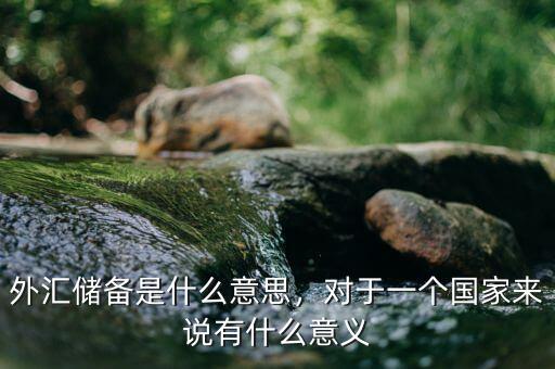 外匯儲備是什么意思，對于一個國家來說有什么意義