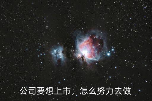 公司要想上市，怎么努力去做