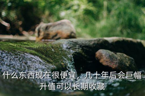 什么東西現在很便宜，幾十年后會巨幅升值可以長期收藏