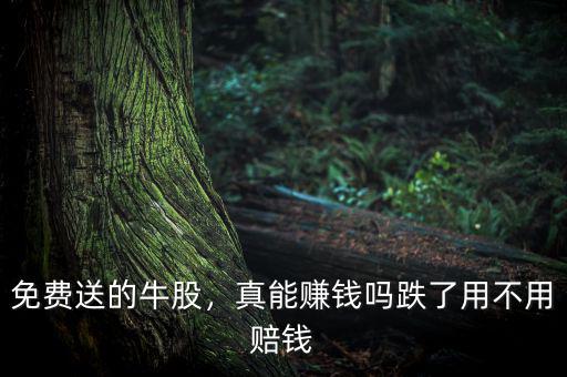 免費送的牛股，真能賺錢嗎跌了用不用賠錢