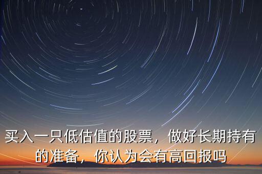 買入一只低估值的股票，做好長期持有的準備，你認為會有高回報嗎