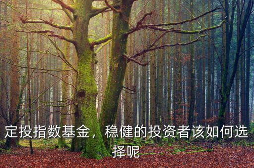 定投指數(shù)基金，穩(wěn)健的投資者該如何選擇呢