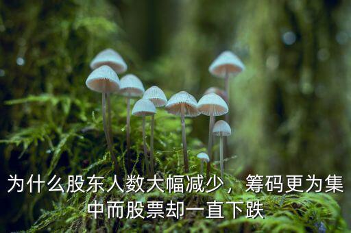 為什么股東人數(shù)大幅減少，籌碼更為集中而股票卻一直下跌