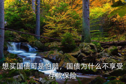 想買(mǎi)國(guó)債可是怕賠，國(guó)債為什么不享受存款保險(xiǎn)