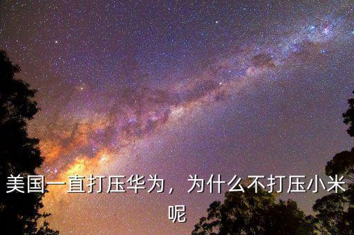 美國一直打壓華為，為什么不打壓小米呢