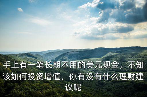 手上有一筆長期不用的美元現(xiàn)金，不知該如何投資增值，你有沒有什么理財建議呢