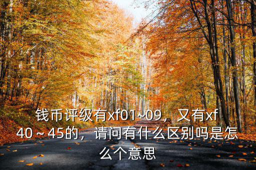 錢幣評(píng)級(jí)有xf01~09，又有xf40～45的，請問有什么區(qū)別嗎是怎么個(gè)意思