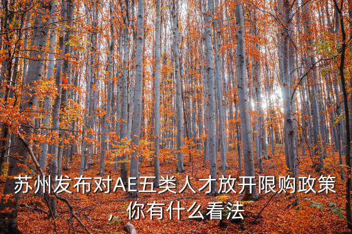 蘇州發(fā)布對AE五類人才放開限購政策，你有什么看法