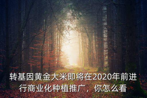轉(zhuǎn)基因黃金大米即將在2020年前進(jìn)行商業(yè)化種植推廣，你怎么看