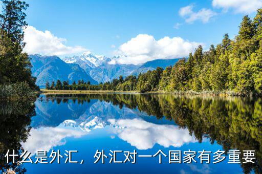 什么是外匯，外匯對一個國家有多重要