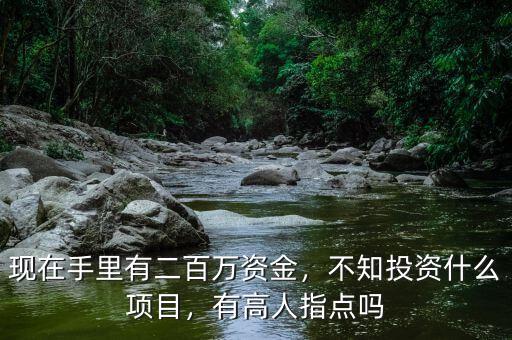 現(xiàn)在手里有二百萬資金，不知投資什么項(xiàng)目，有高人指點(diǎn)嗎