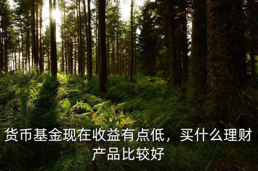 貨幣基金現(xiàn)在收益有點低，買什么理財產(chǎn)品比較好