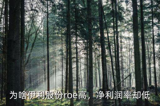 為啥伊利股份roe高，凈利潤率卻低