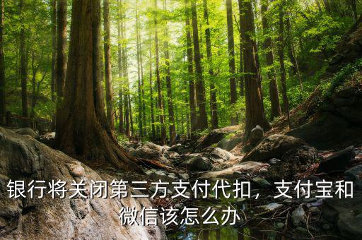 銀行將關(guān)閉第三方支付代扣，支付寶和微信該怎么辦