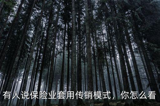 有人說保險業(yè)套用傳銷模式，你怎么看