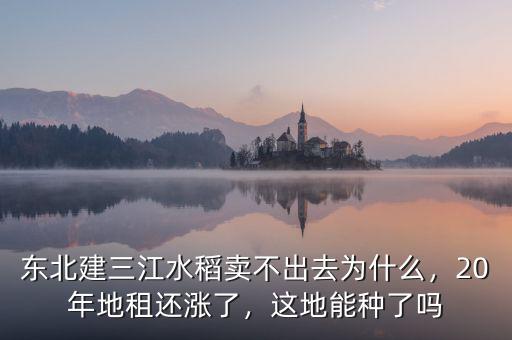 東北建三江水稻賣不出去為什么，20年地租還漲了，這地能種了嗎