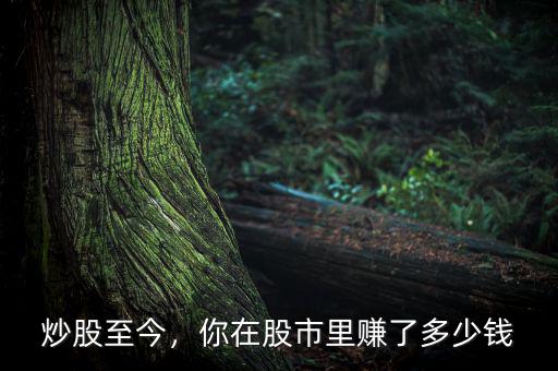 炒股至今，你在股市里賺了多少錢(qián)