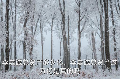 李嘉誠(chéng)總資產(chǎn)多少億，李嘉誠(chéng)總資產(chǎn)過(guò)萬(wàn)億是真的嗎