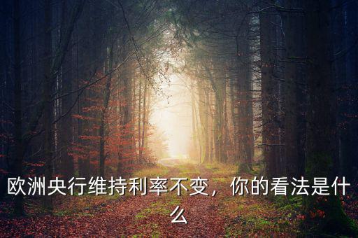 歐洲央行維持利率不變，你的看法是什么