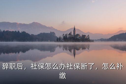 辭職后，社保怎么辦社保斷了，怎么補(bǔ)繳