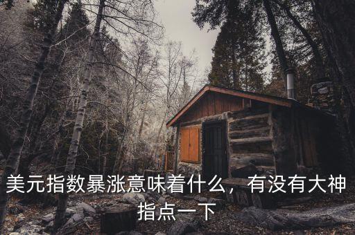 美元指數(shù)暴漲意味著什么，有沒有大神指點(diǎn)一下