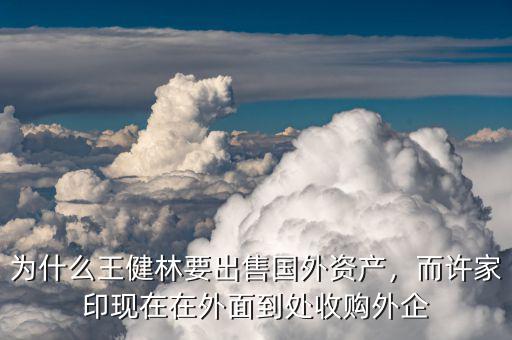 為什么王健林要出售國外資產(chǎn)，而許家印現(xiàn)在在外面到處收購外企