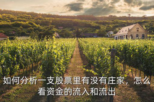 如何分析一支股票里有沒(méi)有莊家，怎么看資金的流入和流出