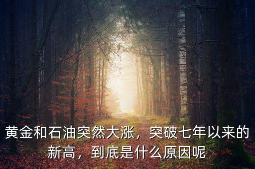 黃金和石油突然大漲，突破七年以來的新高，到底是什么原因呢