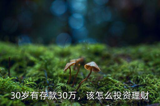 30歲有存款30萬(wàn)，該怎么投資理財(cái)