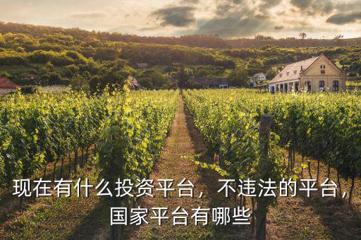 現(xiàn)在有什么投資平臺，不違法的平臺，國家平臺有哪些