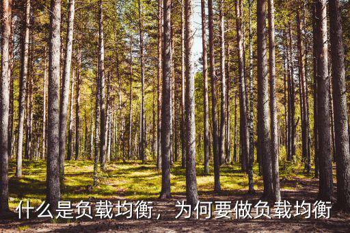 什么是負(fù)載均衡，為何要做負(fù)載均衡