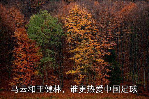 馬云和王健林，誰更熱愛中國足球