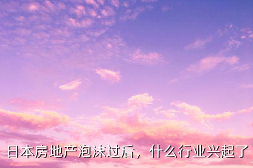 日本房地產(chǎn)泡沫過后，什么行業(yè)興起了