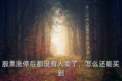 股票漲停后都沒(méi)有人賣了，怎么還能買到