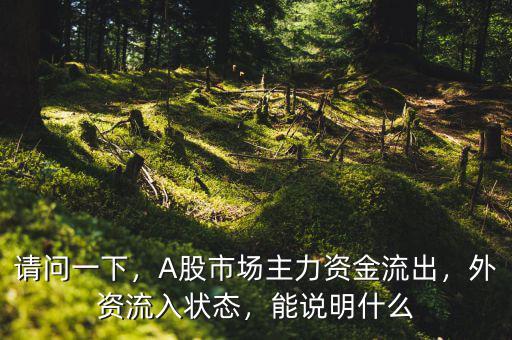 請問一下，A股市場主力資金流出，外資流入狀態(tài)，能說明什么