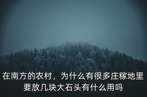 在南方的農(nóng)村，為什么有很多莊稼地里要放幾塊大石頭有什么用嗎