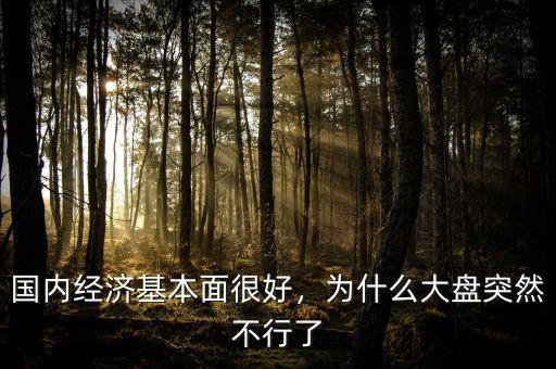 國內(nèi)經(jīng)濟(jì)基本面很好，為什么大盤突然不行了