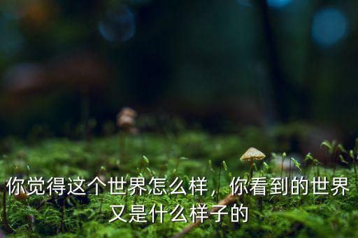 你覺得這個(gè)世界怎么樣，你看到的世界又是什么樣子的