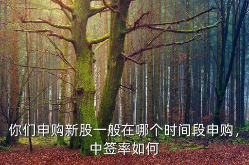 你們申購新股一般在哪個時間段申購，中簽率如何