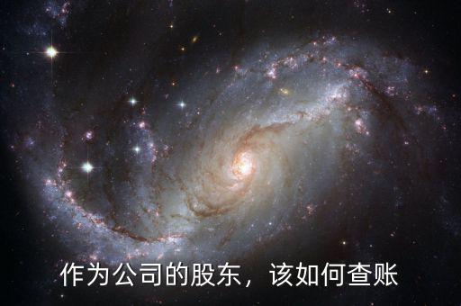 作為公司的股東，該如何查賬